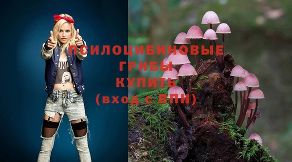 молекула духа Балабаново